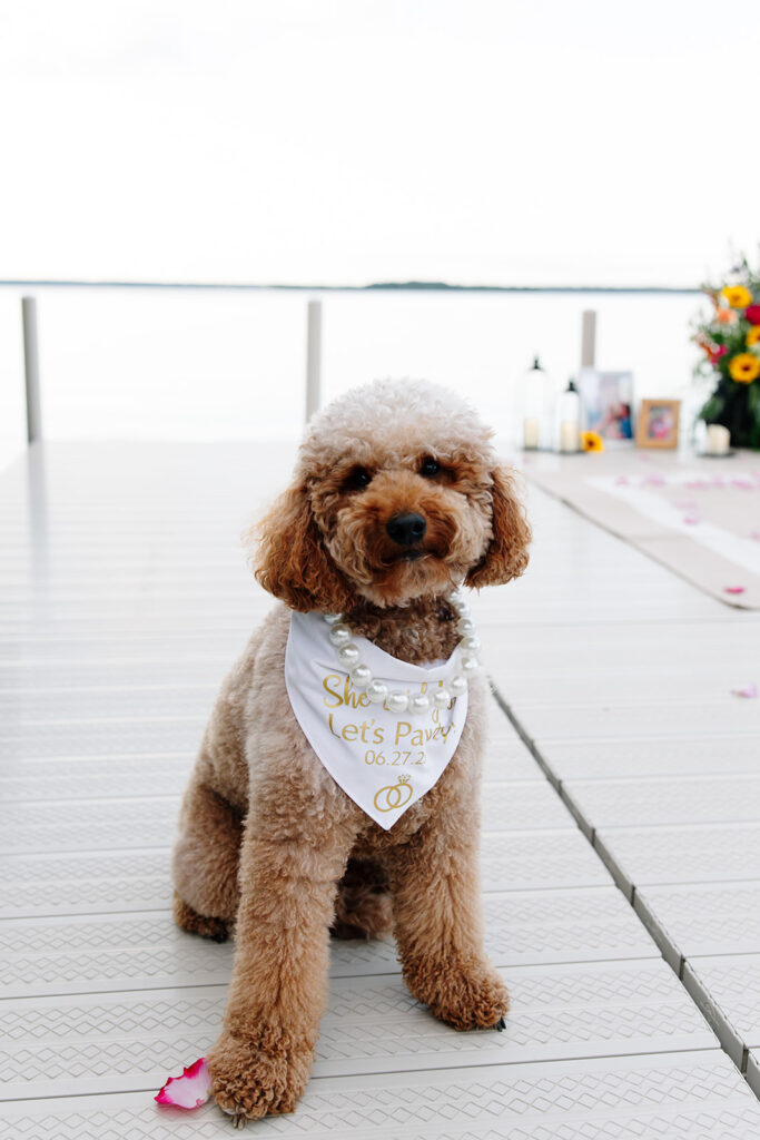 Natural light photo capturing a joyful engagement at crosslake chain.
